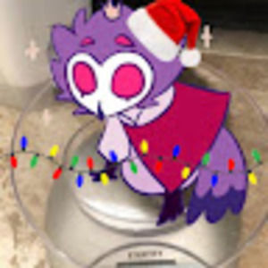 Meet your Posher, Diego